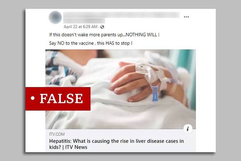 Imagem de reprodução mostra post em inglês no Facebook rotulado como falso: 'Se isso não acordar mais pais... nada o fará! Diga não à vacina, isso tem que parar!'