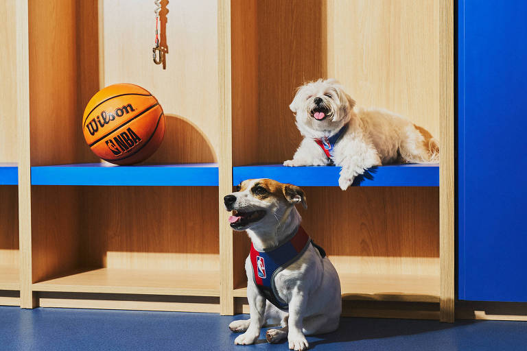 Petlove e NBA firmam parceria e lançam coleção de produtos para cães