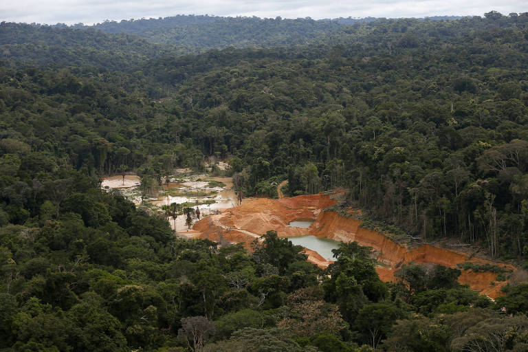 Amazônia tem recorde de desmatamento para o mês de junho