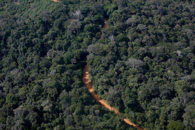 Imagem aérea da floresta amazônica, na região da bacia do Rio Tapajós, no estado do Pará. 