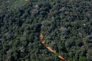 Trecho da floresta amazônica em Jacareacanga, município no sudoeste do Pará