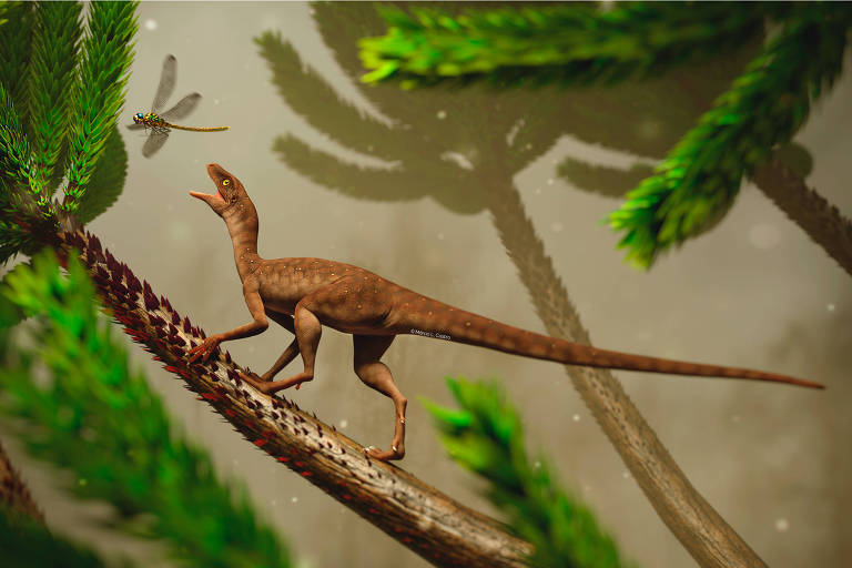 Fóssil de suposto pterossauro 'perde asas' e vira duas espécies