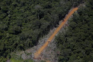 FILE PHOTO: The Wider Image: Illegal gold mining in the Amazon