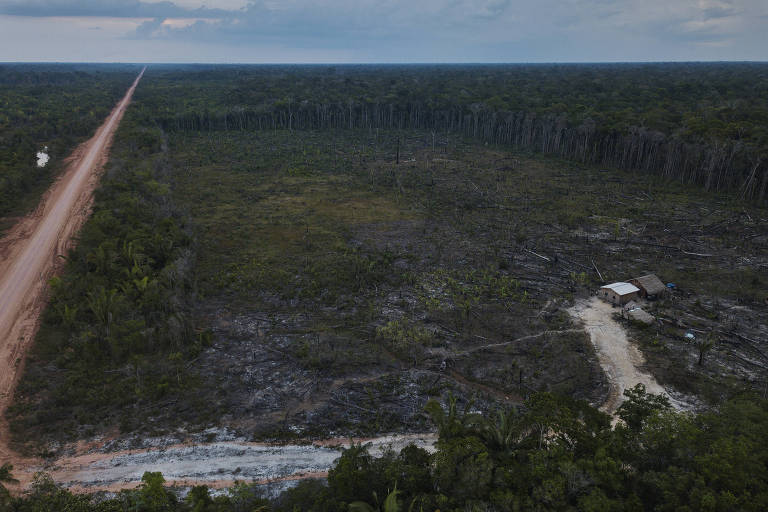 BR-319 pode impactar área da Amazônia maior que estado de SP