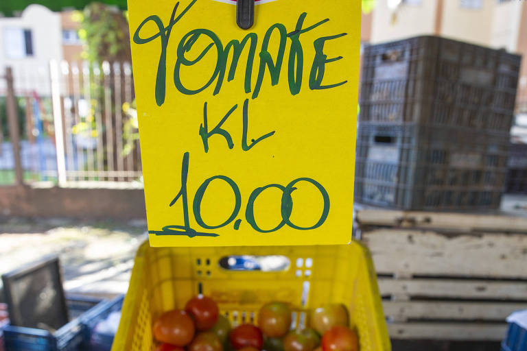 Imagem de banca de tomate na feira, por dez reais o quilo