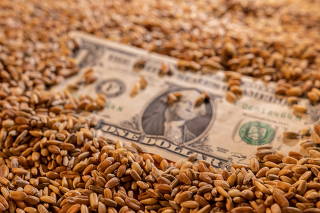 Illustration shows U.S. dollar banknote and grain