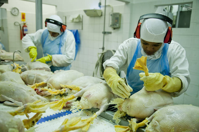 Comissão do Senado proíbe produção e comercialização de foie gras em território nacional