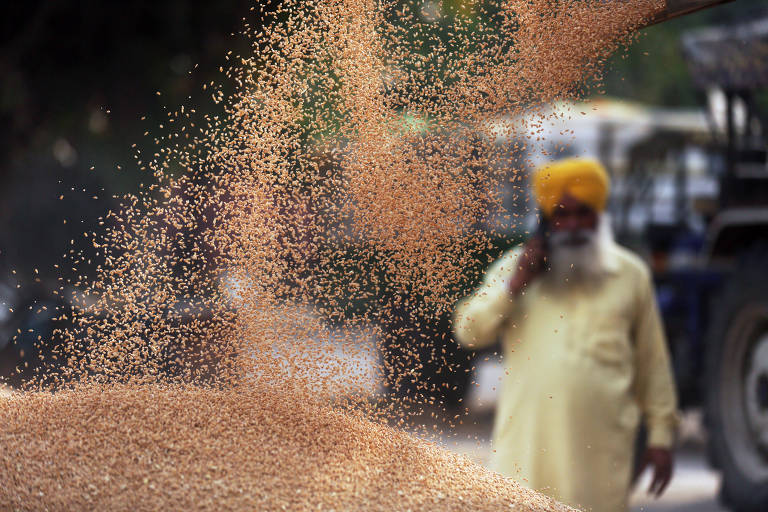 Índia proíbe exportações de trigo para reduzir preços domésticos