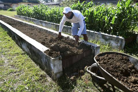 (220502) -- MAYABEQUE, 2 mayo, 2022 (Xinhua) -- Imagen del 28 de abril de 2022 de un trabajador laborando en el área de canteros multiplicadores de fertilizantes en el Instituto Nacional de Ciencias Agrícolas, en la provincia de Mayabeque, Cuba. Cuba trabaja en la producción de biofertilizantes y bioestimulantes en la búsqueda de un modelo de agricultura sostenible en medio de las restricciones impuestas por el bloqueo económico, comercial y financiero de Estados Unidos contra la isla. (Xinhua/Joaquín Hernández) (jh) (jg) (ra) (vf)