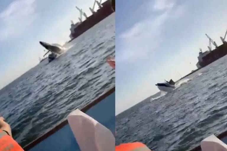 Baleia pula em embarcação no México