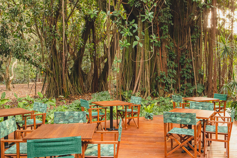 Ambiente do restaurante Selvagem, novidade no parque Ibirapuera