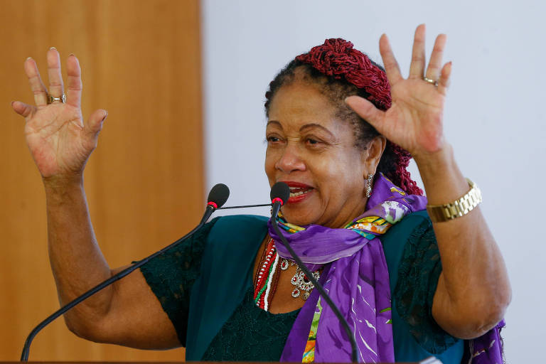 Tebet convida ex-ministra de Temer para montar plano sobre igualdade racial