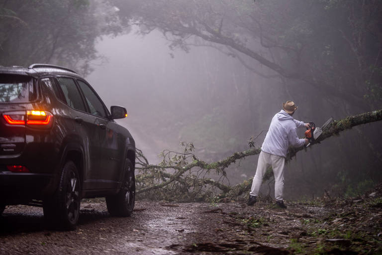 Homem corta árvore derrubada em estrada em São Francisco de Paula, na Serra Gaúcha, nesta quarta (18)