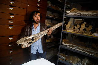 Peruvian prehistoric fossil discovery sheds light on marine origin of crocodiles