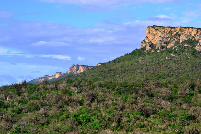 O que é a hipótese de Gaia, que defende que a Terra 'está viva