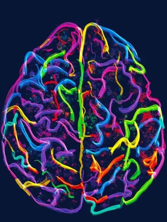 Ilustração do cérebro humano