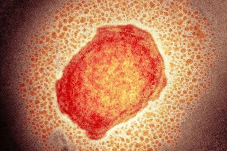 Imagem de microscópio mostra célula humana
