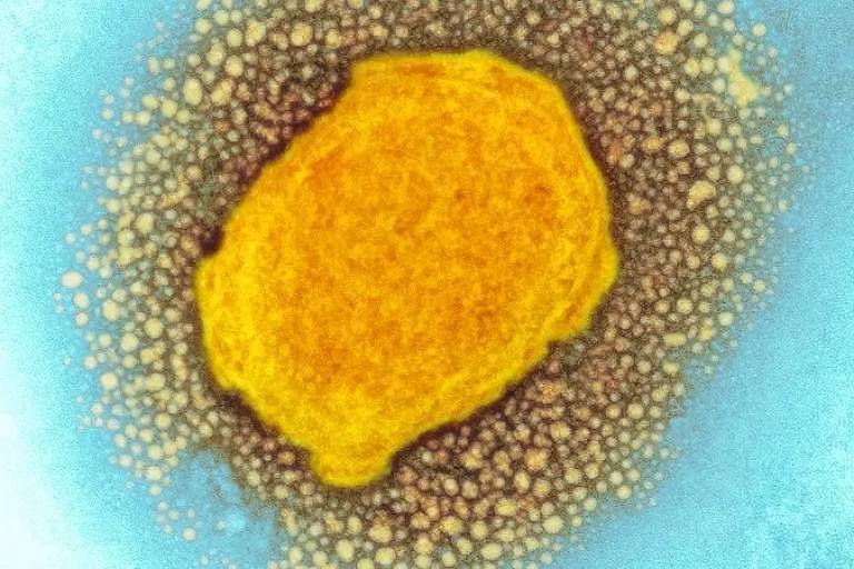 Imagem de microscópio mostra uma célula humana