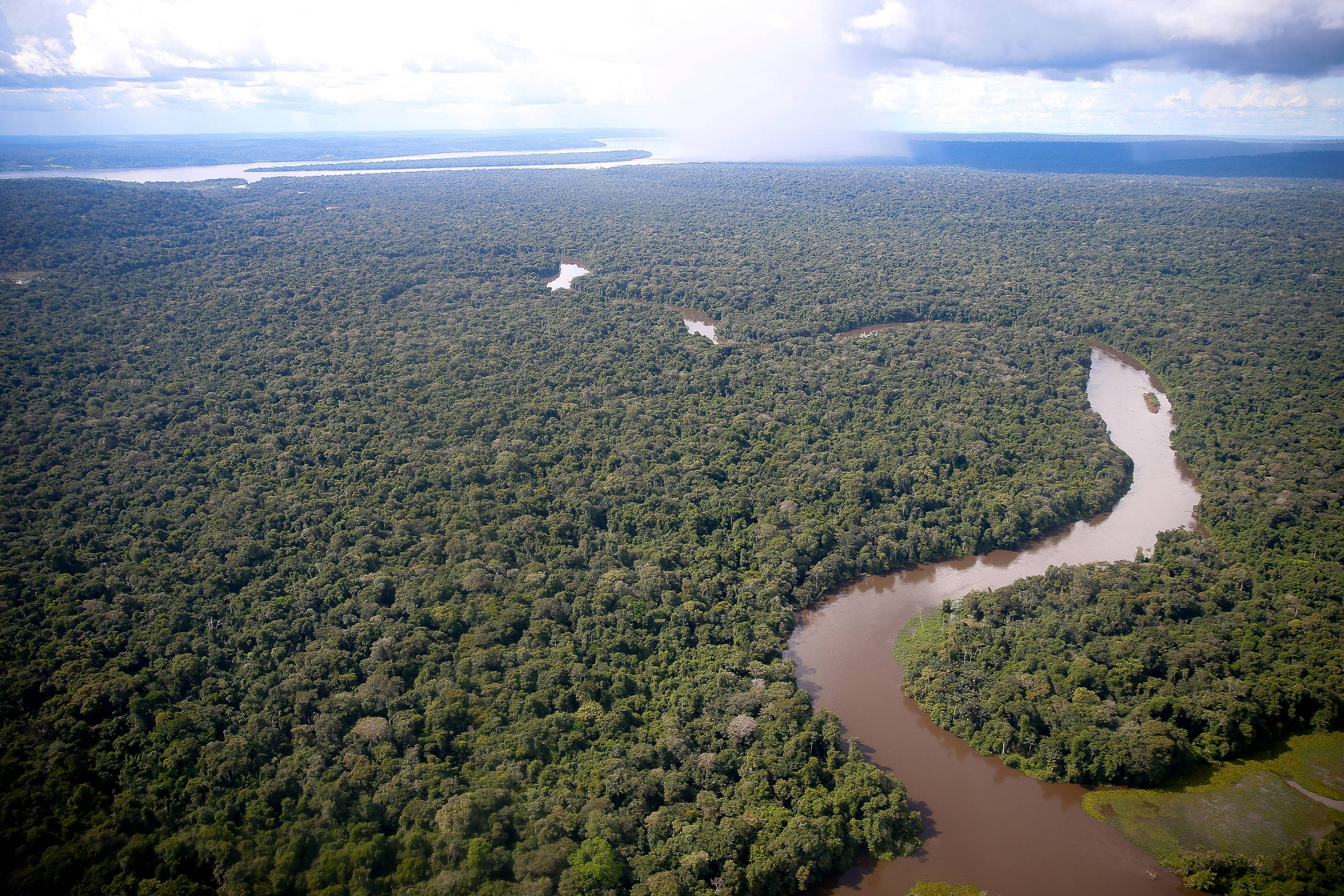 Fundo bilionário de preservação de florestas