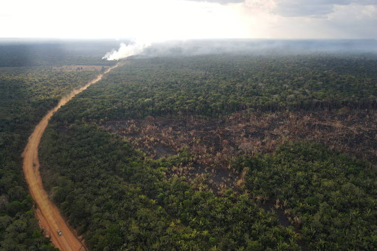 The federal highway BR-230 (the “Transamazônica”) was constructed in