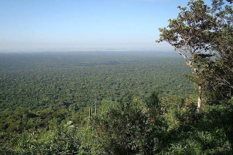 Vista aérea de floresta estacional semidecidual no Parque Estadual Morro do Diabo, em Teodoro Sampaio, Estado de São Paulo 