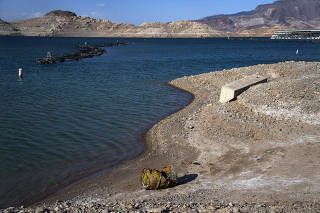 A decomposing barrel along the shores of Lake Mead in Nevada, near the spot where a victim who appeared to die from a gunshot wound was discovered in another barrel. (Joe Buglewicz/The New York Times)