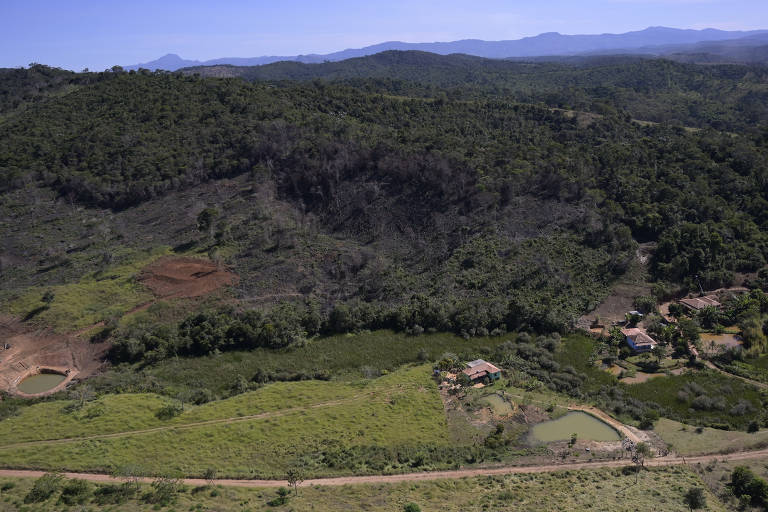 Desmatamento em área de mata atlântica de Minas Gerais
