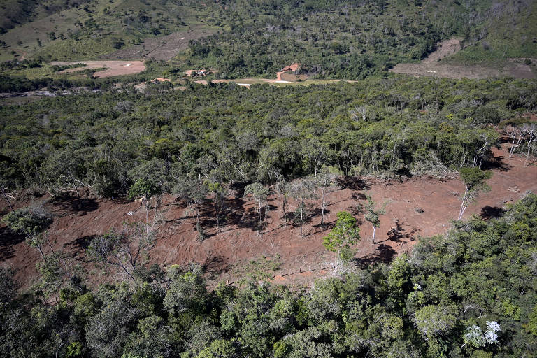 Vista aérea de área com floresta derrubada