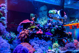 Schuyler Wagner, a financial analyst who spends $750 to $1,500 a month on his hobby, coral farming, and his seven tanks, at his home in Tempe, Ariz., May 3, 2022. (Ash Ponders/The New York Times)