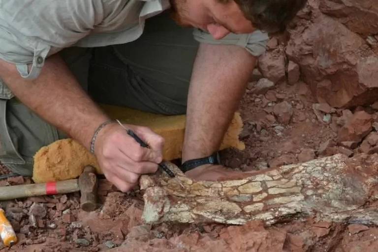 Fósseis do pterossauro recém-identificado estavam enterrados em rochas há 86 milhões de anos