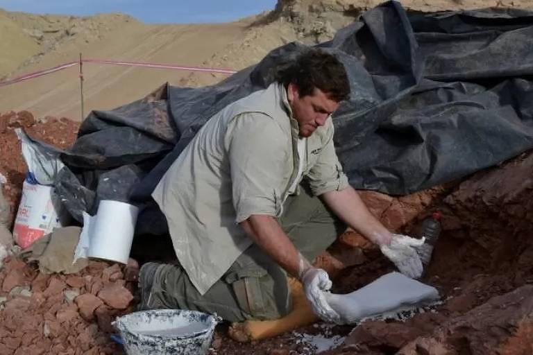 Uma equipe de paleontólogos descobriu os restos mortais na Cordilheira dos Andes da Argentina em 2012