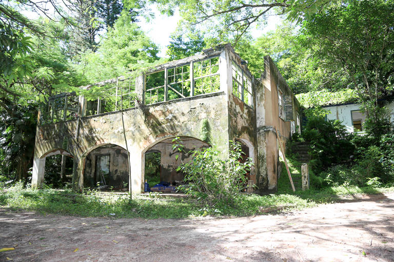 Novo parque temático no Vale do Café aliará dinossauros e turismo de aventura em área de mata atlântica