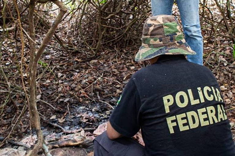 Morte de onças envenenadas no Pantanal leva PF a indiciar três suspeitos