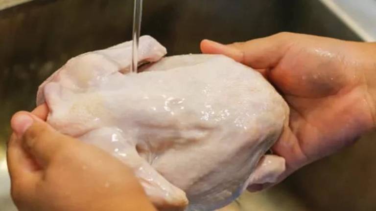 Lavar frango antes de cozinhar aumenta risco de espalhar bactéria Campylobacter