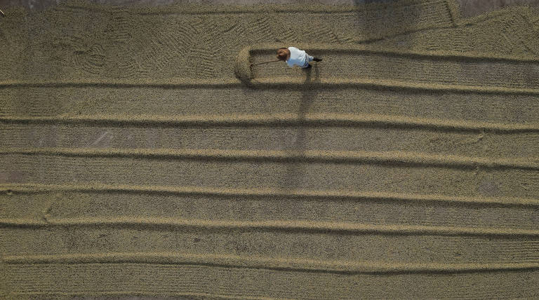 A indústria teve relativa estabilidade, com pequena variação de 0,1%. Já a agropecuária recuou 0,9%