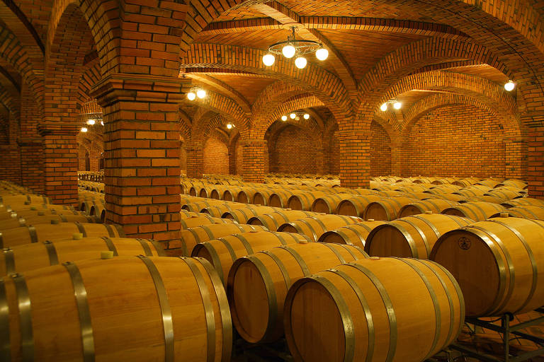 Barris de vinhos em vinícola em Bento Gonçalves (RS)
