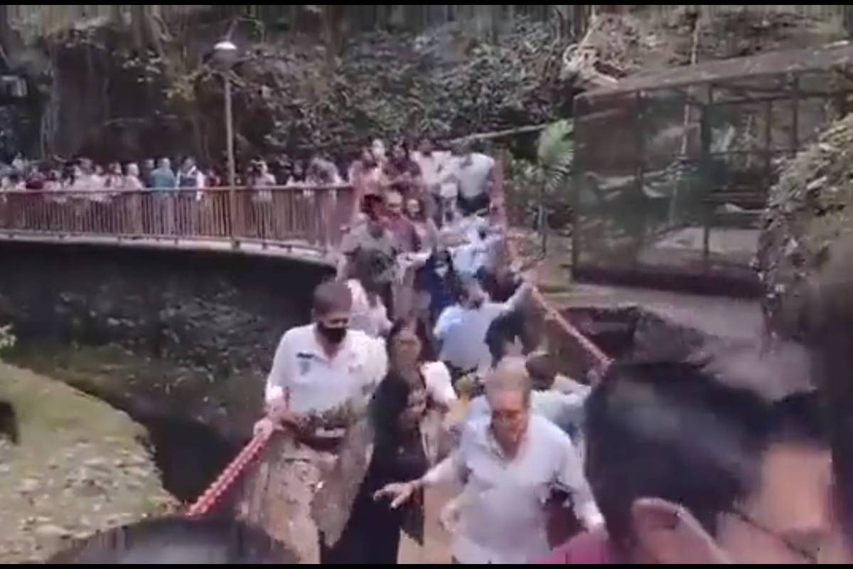 México: el puente se derrumba durante la ceremonia, hiriendo a 25 – 08/06/2022 – Mundo