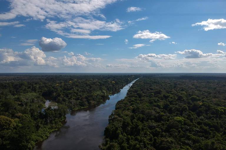 O desligamento de 15 termelétricas em três estados na Amazônia Legal evitou, de 2019 até julho deste ano, a emissão de mais de 331 mil toneladas de gás de efeito estufa na atmosfera