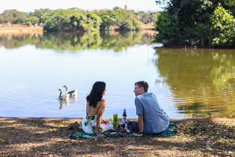Casal sentado à beira de um lago, com dois cisnes nadando perto