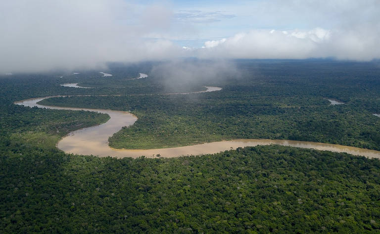 Desaparecimento e buscas de Bruno Pereira e Dom Phillips no Amazonas