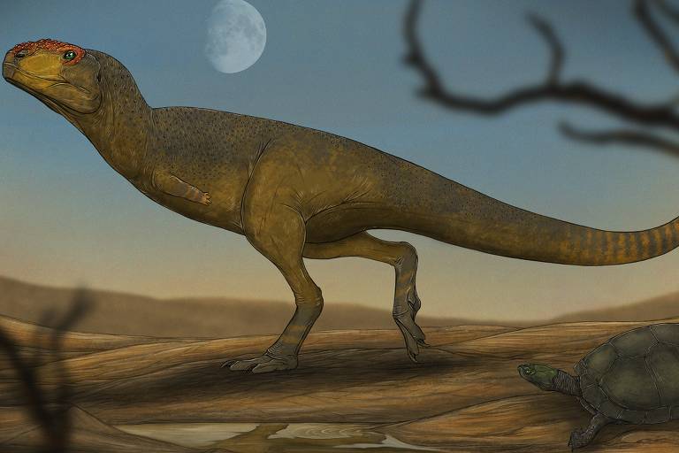 Reconstrução do animal grupo dos abelissaurídeos cuja vértebra foi encontrada no interior de São Paulo