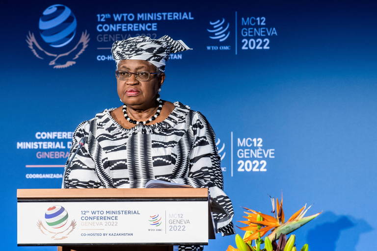 Chefe da OMC vê caminho difícil para acordos comerciais