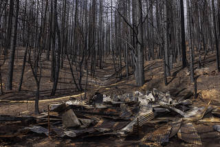 Floresta queimada nos arredores da cidade histórica de Greenville