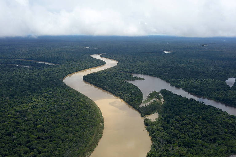 Amazônia como solução