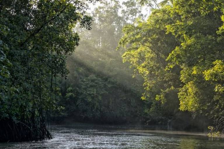 Ratanabá: arqueólogo explica por que lenda de 'cidade perdida na Amazônia' não faz sentido