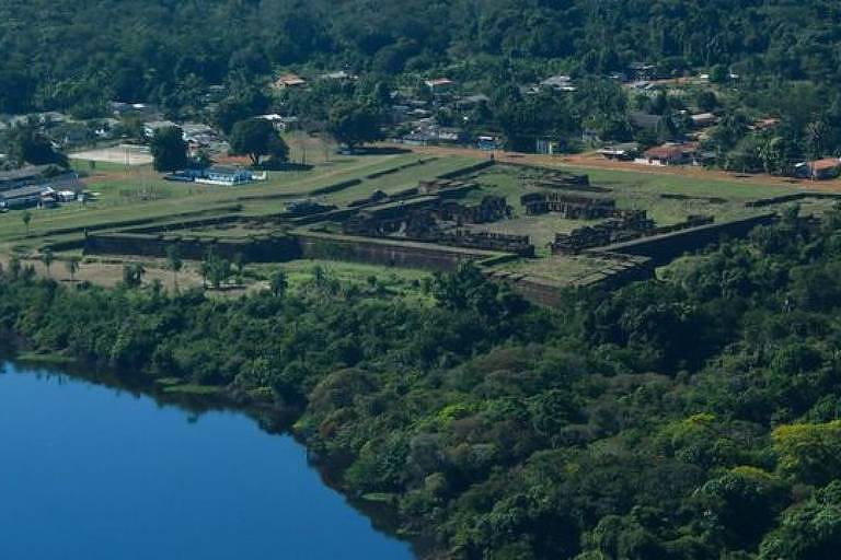 Floresta e lago