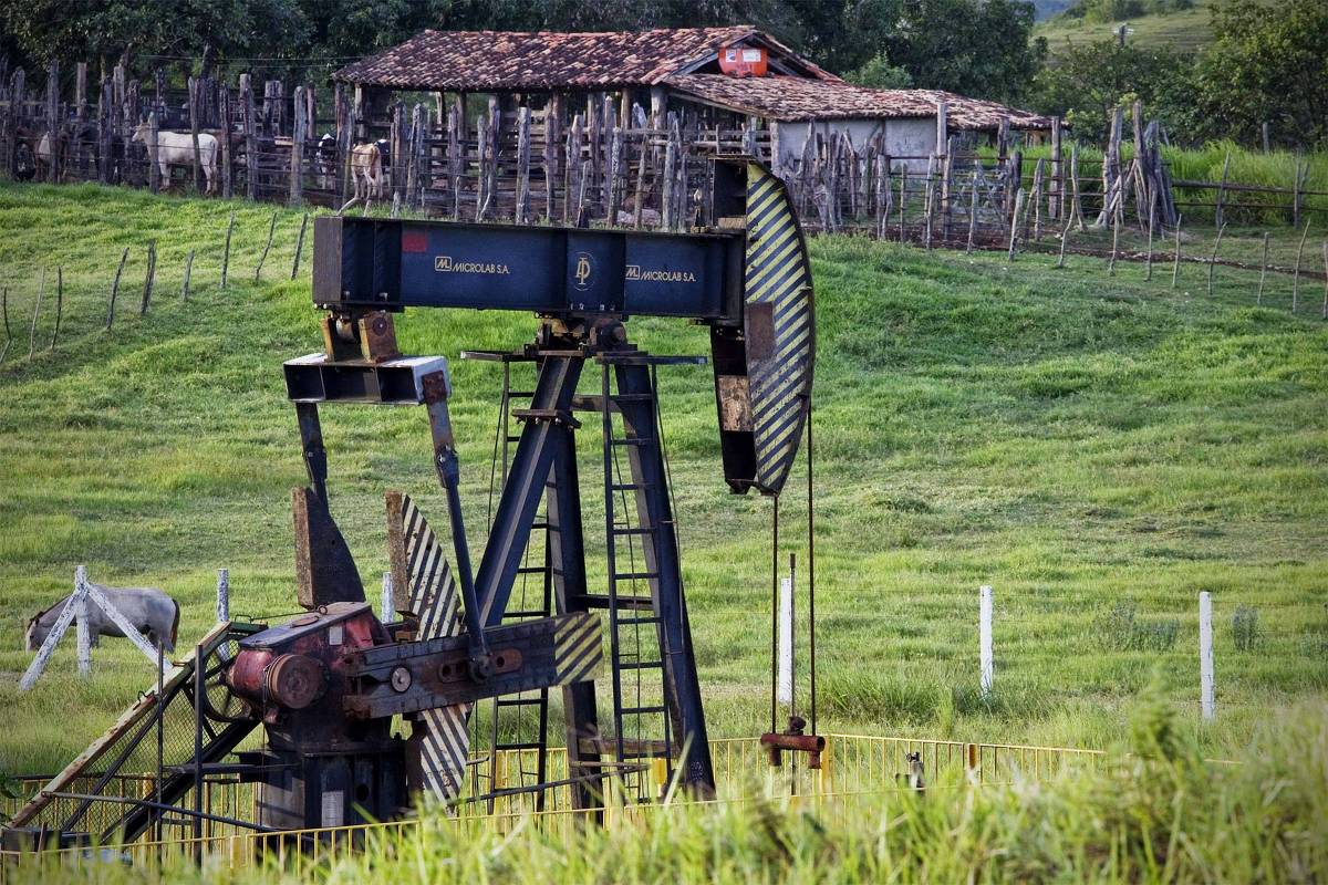 Ranch Simulator Guia de Culturas