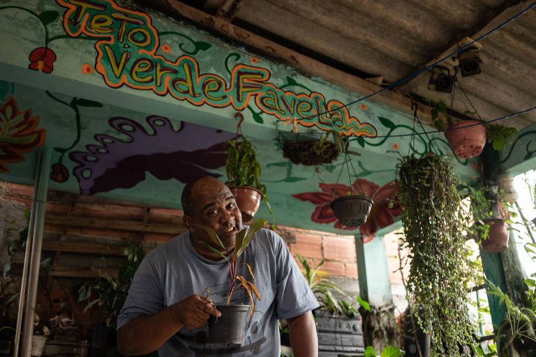 Ativista ambiental cria teto verde em favela da zona norte do Rio de Janeiro 