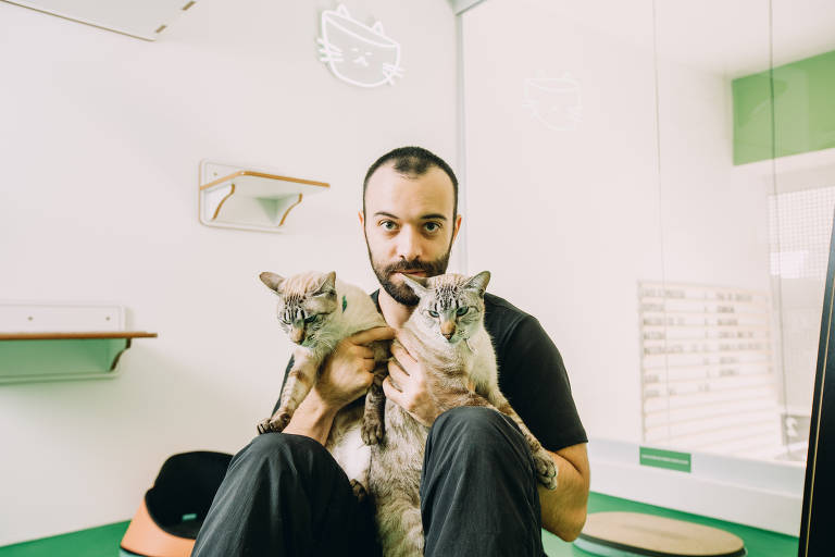 Homem posa sentado exibindo dois gatos, um em cada braço