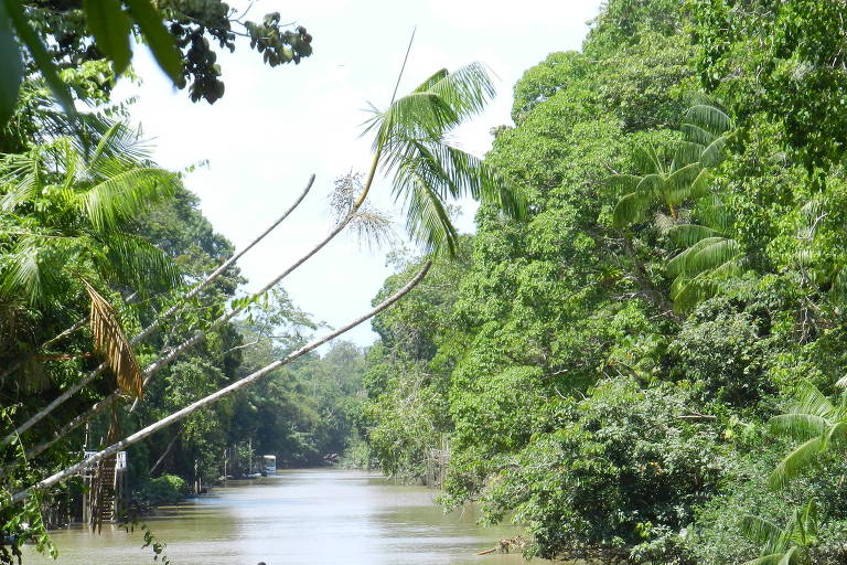 Repórter cinematográfico desaparece após cair de barco no Pará
